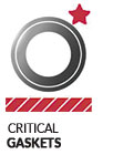 critical gaskets